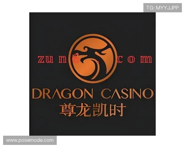 锶六尊龙凯时集团背后的企业文化及团队建设解析